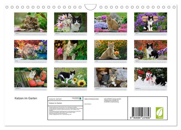Produktbild: Katzen im Garten (Wandkalender 2027 DIN A4 quer), CALVENDO Monatskalender