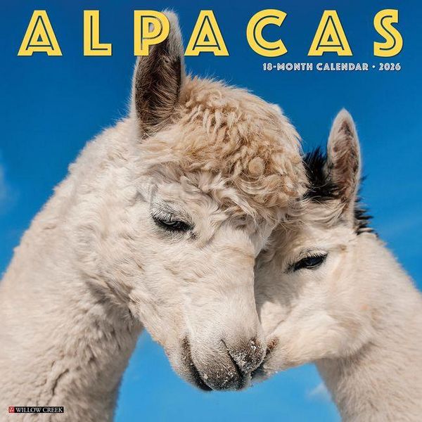 Produktbild: Alpacas 2026 12 X 12 Wall Calendar