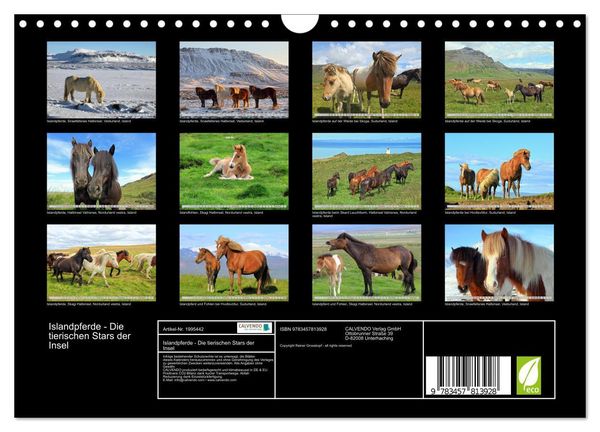 Produktbild: Islandpferde - Die tierischen Stars der Insel (Wandkalender 2026 DIN A4 quer), CALVENDO Monatskalender