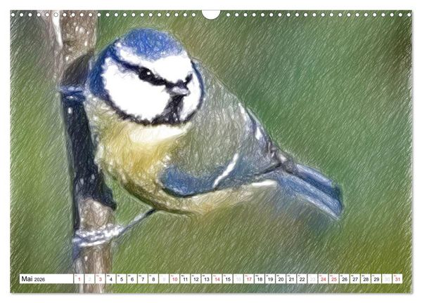 Produktbild: Schottlands Vogelwelt - Ein Portr&auml;t in Zeichnungen (Wandkalender 2026 DIN A3 quer), CALVENDO Monatskalender