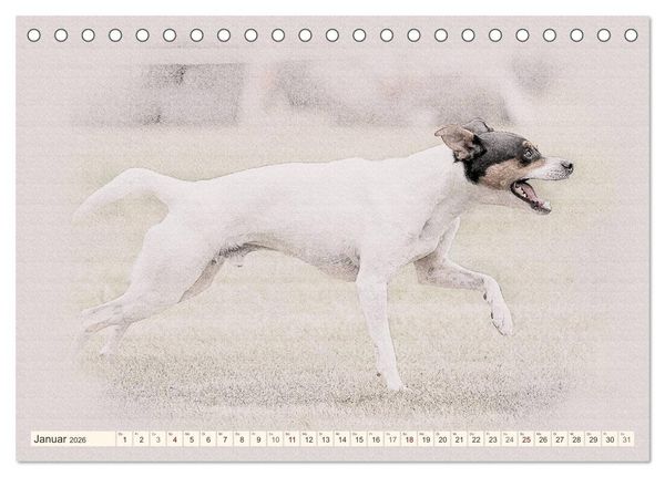 Produktbild: Bodeguero Andaluz 2026 (Tischkalender 2026 DIN A5 quer), CALVENDO Monatskalender