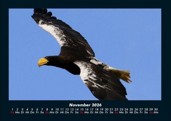 Produktbild: Adler 2026 Fotokalender DIN A4