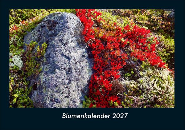 Produktbild: Blumenkalender 2027 Fotokalender DIN A4