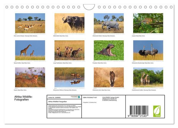 Produktbild: Afrika Wildlife-Fotografien (Wandkalender 2027 DIN A4 quer), CALVENDO Monatskalender