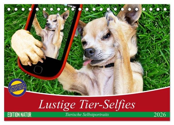 Produktbild: Lustige Tier-Selfies. Tierische Selbstportraits (Tischkalender 2026 DIN A5 quer), CALVENDO Monatskalender