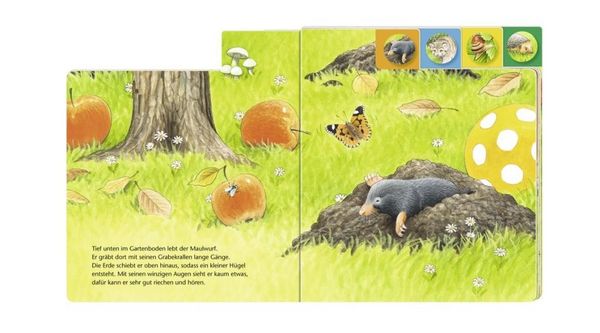 Produktbild: Wer wohnt im Garten?