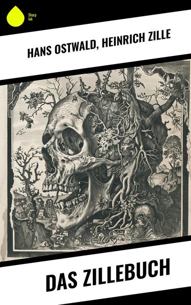 Produktbild: Das Zillebuch