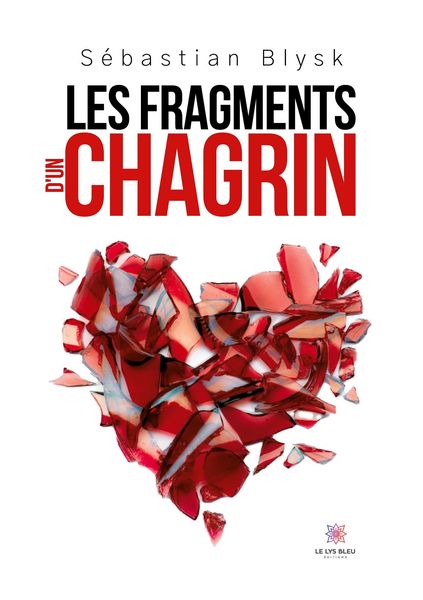 Produktbild: Les fragments d'un chagrin