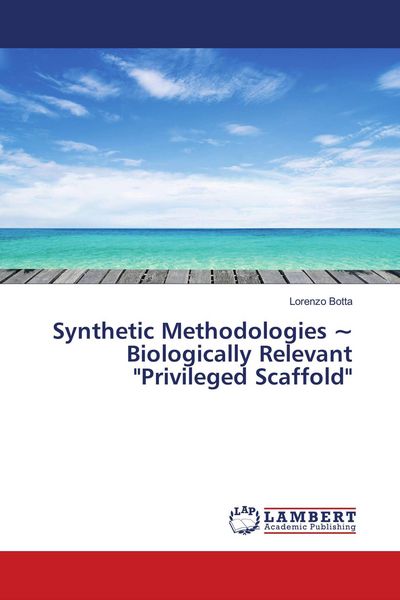 Produktbild: Synthetic Methodologies ~ Biologically Relevant "Privileged Scaffold"