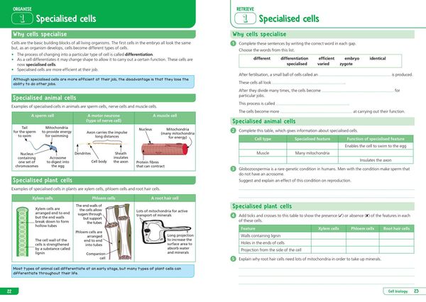 Produktbild: Collins GCSE Science 9-1: Aqa GCSE 9-1 Combined Science Trilogy Higher