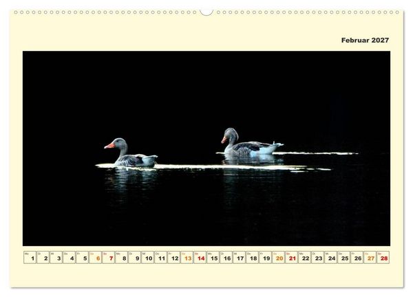 Produktbild: Tierwelt der W&uuml;mmeniederung (hochwertiger Premium Wandkalender 2027 DIN A2 quer), Kunstdruck in Hochglanz