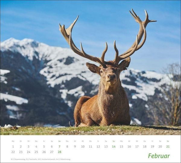 Produktbild: times&more Alpen Bildkalender 2027