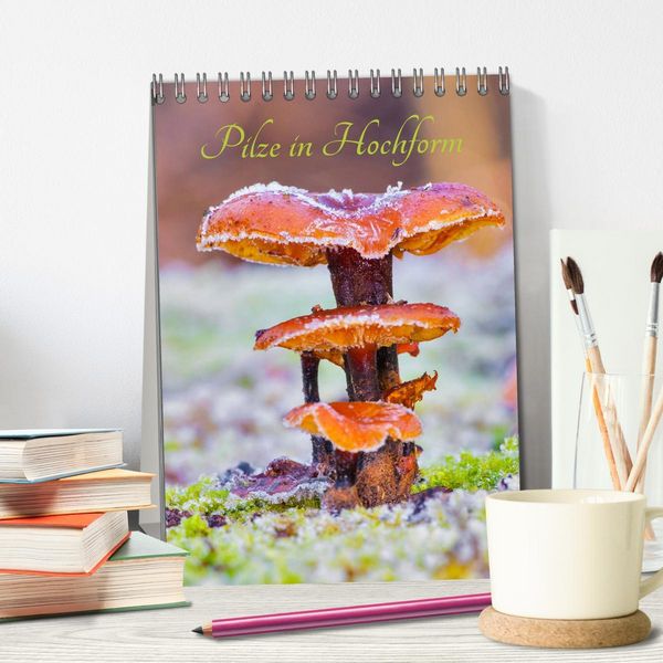 Produktbild: Pilze in Hochform (Tischkalender 2026 DIN A5 hoch), CALVENDO Monatskalender