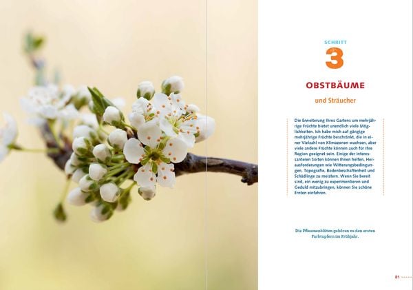 Produktbild: In sieben Schritten zum Selbstversorger