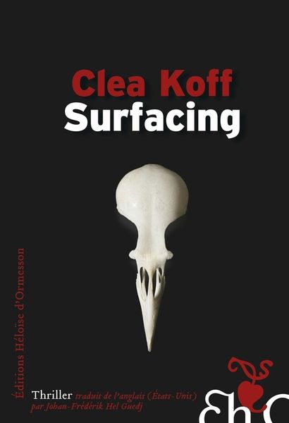 Produktbild: Surfacing : thriller