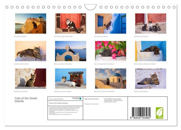 Produktbild: Cats of the Greek Islands (Wall Calendar 2026 DIN A4 landscape), CALVENDO 12 Month Wall Calendar