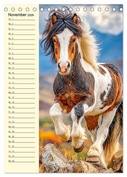 Produktbild: Zauber der Ponys. Kleine Pferde in der Natur (Tischkalender 2026 DIN A5 hoch), CALVENDO Monatskalender