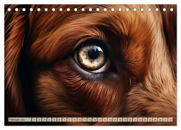 Produktbild: Schau mir ins Auge (Tischkalender 2026 DIN A5 quer), CALVENDO Monatskalender