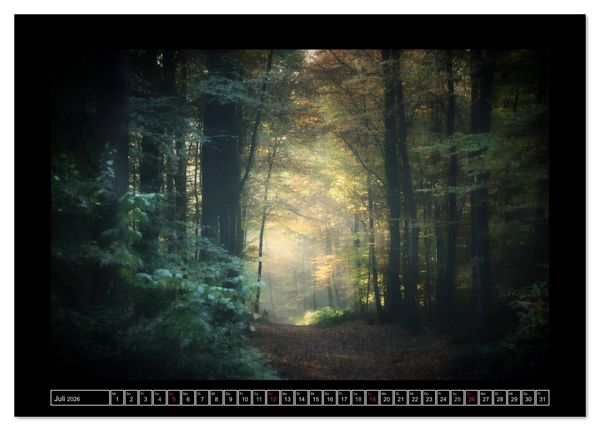 Produktbild: Der Reichswald bei Kleve (Tischkalender 2026 DIN A5 quer), CALVENDO Monatskalender