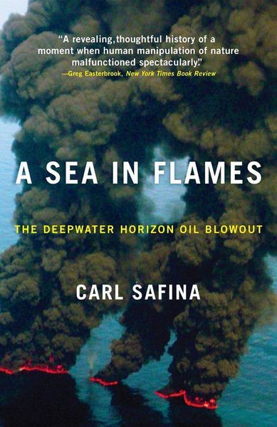 Produktbild: A Sea in Flames