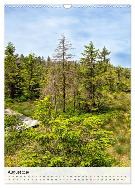 Produktbild: Harzer Landschaften - 12 Monate im Naturparadies Harz (Wandkalender 2026 DIN A3 hoch), CALVENDO Monatskalender