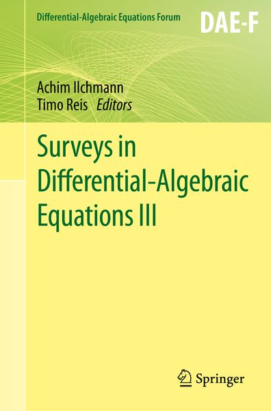 Produktbild: Surveys in Differential-Algebraic Equations III