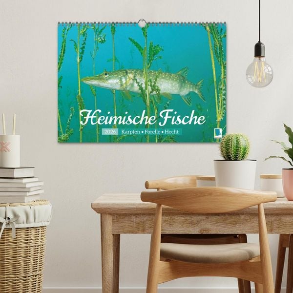 Produktbild: Heimische Fische: Karpfen, Forelle, Hecht (Wandkalender 2026 DIN A3 quer), CALVENDO Monatskalender