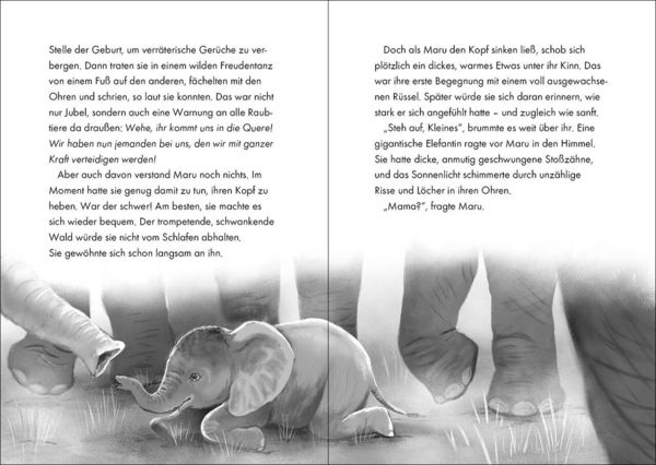 Wasser Für Die Elefanten Buch 'Das geheime Leben der Tiere (Savanne, Band 2) - Maru - Die Reise der