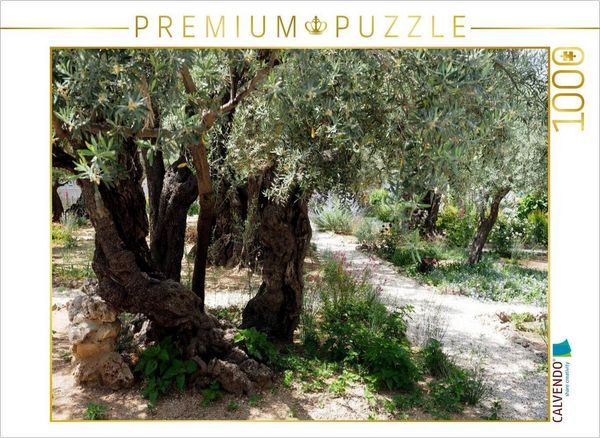 Produktbild: CALVENDO Puzzle Gethsemane | 1000 Teile Lege-Gr&ouml;&szlig;e 64x48cm Foto-Puzzle f&uuml;r gl&uuml;ckliche Stunden