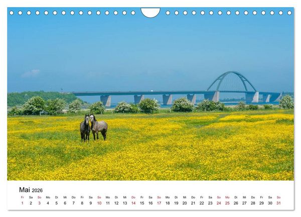 Produktbild: Fehmarn - "fe mer" nat&uuml;rlich "am Meer gelegen" (Wandkalender 2026 DIN A4 quer), CALVENDO Monatskalender