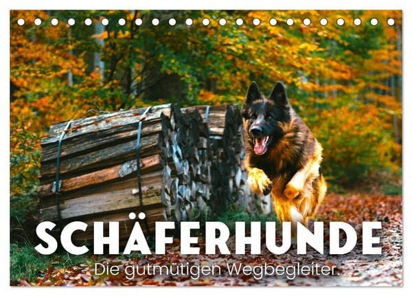 Schäferhunde - Die gutmütigen Wegbegleiter. (Tischkalender 2026 DIN A5 quer), CALVENDO Monatskalender