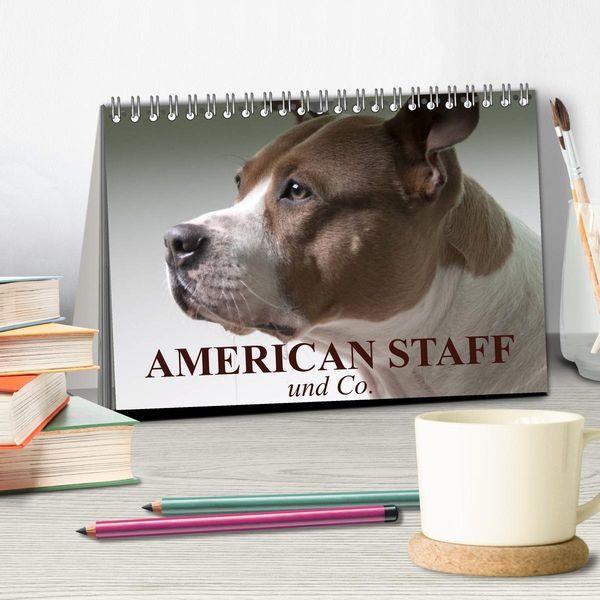 Produktbild: American Staff und Co. (Tischkalender 2026 DIN A5 quer), CALVENDO Monatskalender