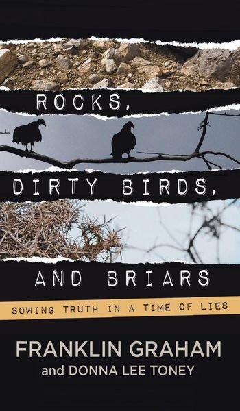 Produktbild: Rocks, Dirty Birds, and Briars