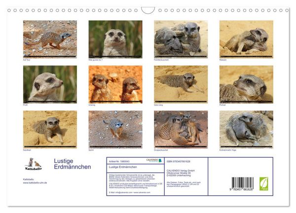 Produktbild: Lustige Erdm&auml;nnchen (Wandkalender 2026 DIN A3 quer), CALVENDO Monatskalender