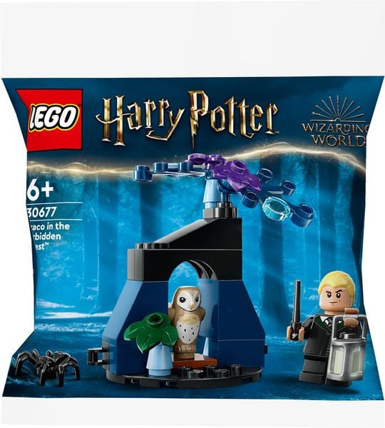 LEGO Harry Potter TM 30677