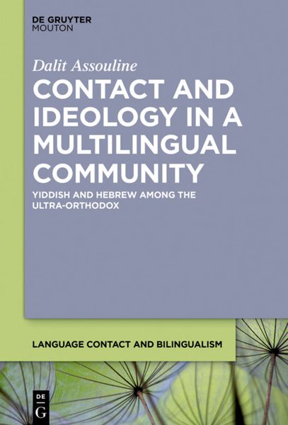 Produktbild: Contact and Ideology in a Multilingual Community