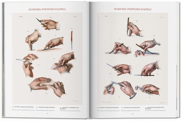 Produktbild: Bourgery