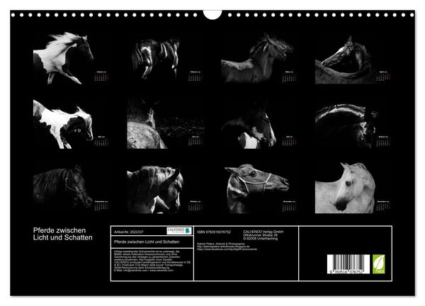 Produktbild: Pferde zwischen Licht und Schatten (Wandkalender 2026 DIN A3 quer), CALVENDO Monatskalender