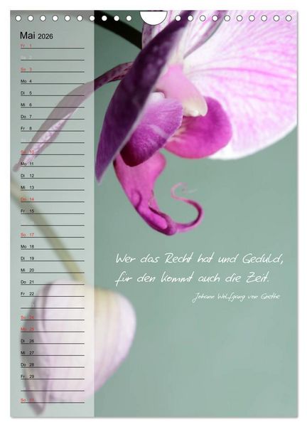 Produktbild: Blumen & Zitate / Geburtstagskalender (Wandkalender 2026 DIN A4 hoch), CALVENDO Monatskalender