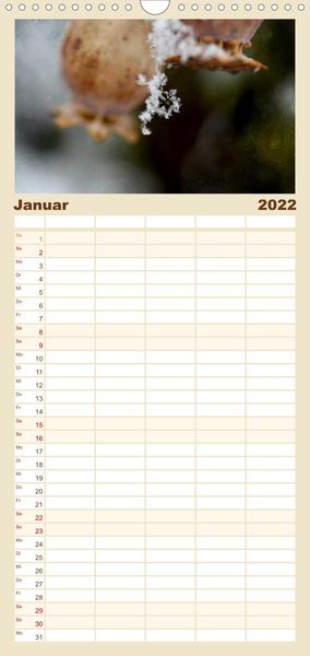 Produktbild: Familienplaner Mohnsch&ouml;nheiten (Wandkalender 2022 , 21 cm x 45 cm, hoch)