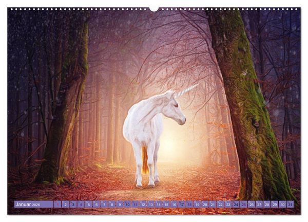Produktbild: Einhorn Welt - vertr&auml;umte Einhornbilder (hochwertiger Premium Wandkalender 2026 DIN A2 quer), Kunstdruck in Hochglanz