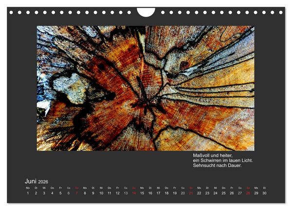 Produktbild: MAGIE HOLZ 2026 (Wandkalender 2026 DIN A4 quer), CALVENDO Monatskalender