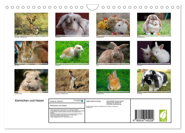 Produktbild: Kaninchen und Hasen (Wandkalender 2026 DIN A4 quer), CALVENDO Monatskalender