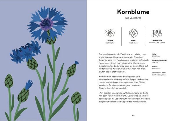 Produktbild: Florama