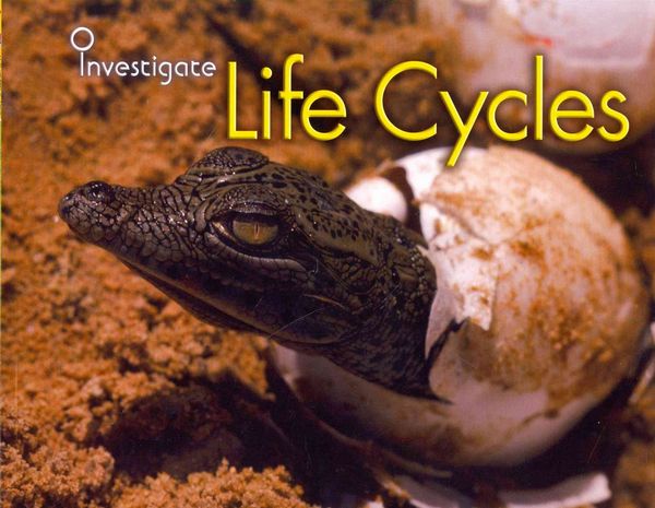 Produktbild: Life Cycles