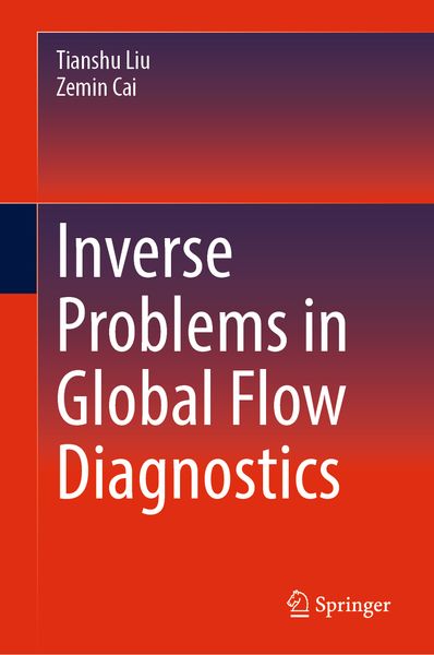 Produktbild: Inverse Problems in Global Flow Diagnostics