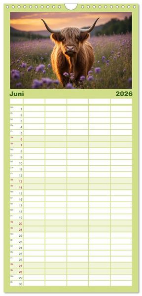 Produktbild: Familienplaner 2026 - Highland K&uuml;he mit 5 Spalten (Wandkalender, 21 x 45 cm) CALVENDO