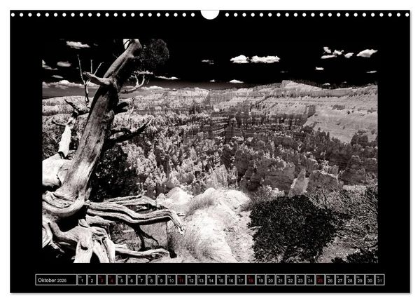 Produktbild: USA - 4000 Meilen S&uuml;dwest Hommage an die gro&szlig;en SW-Fotografen Amerikas (Wandkalender 2026 DIN A3 quer), CALVENDO Monatskalender