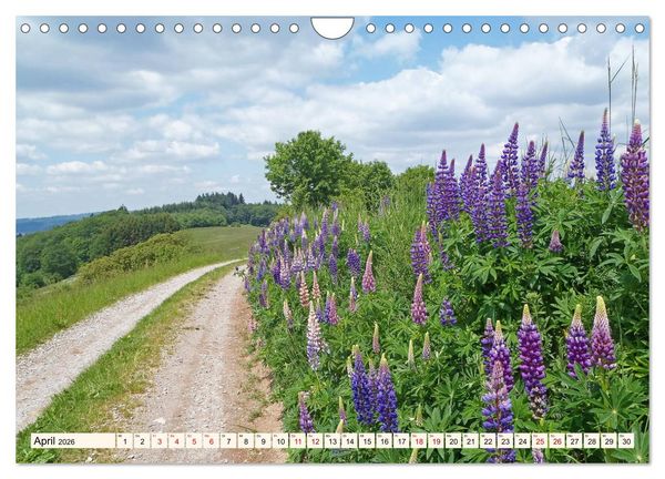 Produktbild: Viele Wege - ein Ziel Wandern im Odenwald (Wandkalender 2026 DIN A4 quer), CALVENDO Monatskalender