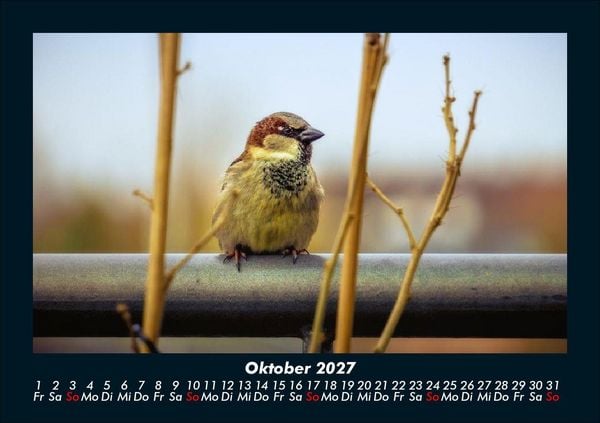 Produktbild: Waldbewohner 2027 Fotokalender DIN A5